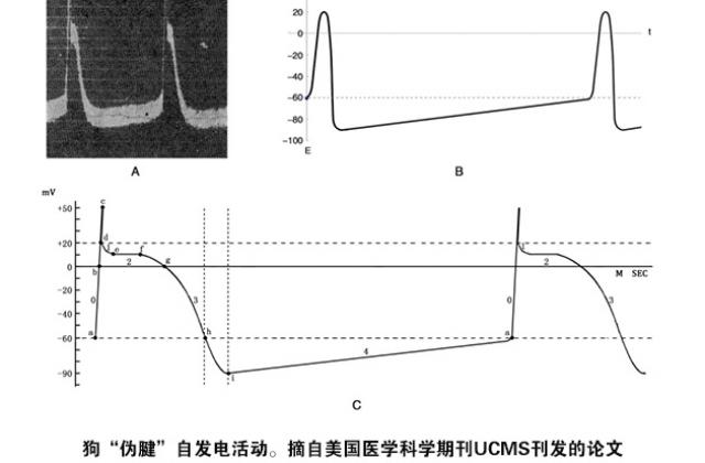 学者孙作东建议国家教育部 紧急叫停细胞生物电教与学