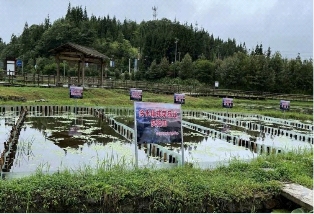 重庆青年职业技术学院经济管理学院 三下乡“关于冷水镇特色产业的调研活动”