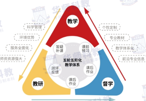 明智之选！2024年认准华师科教专插本，学历提升有保障